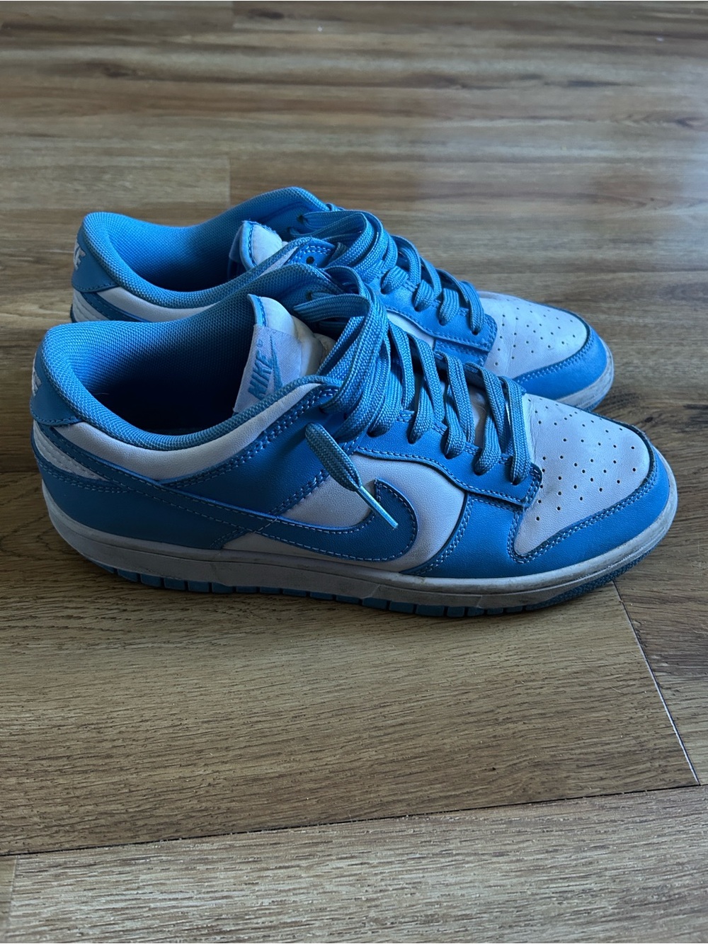 Nike Dunk Low University — White and Blue